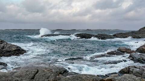 Illustrasjonsfoto: Roald Hatten / Fiskeridirektoratet