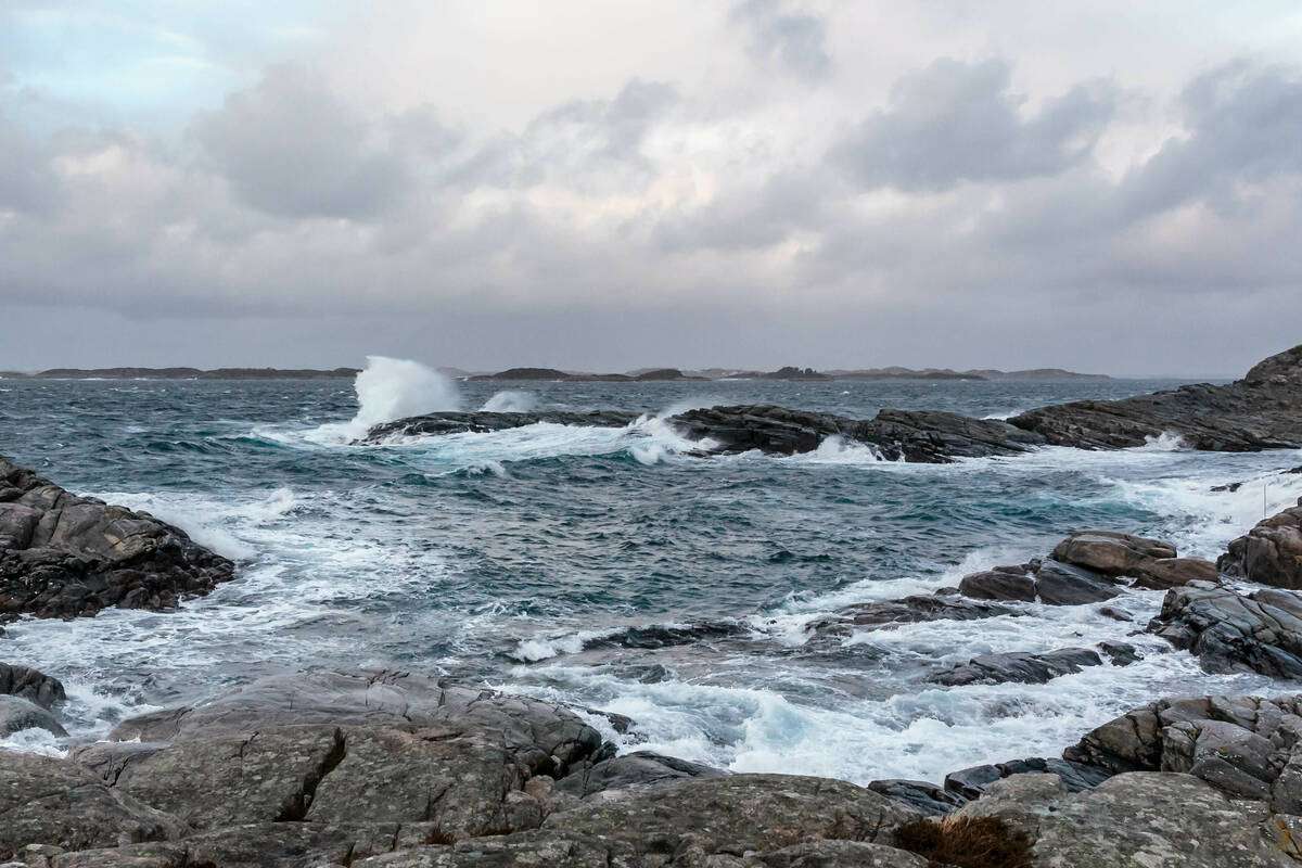 Illustrasjonsfoto: Roald Hatten / Fiskeridirektoratet