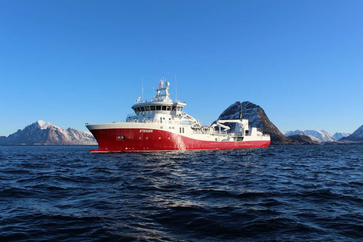 Brønnbåten MS Steigen er en av båtene i flåten til Norsk Fisketransport AS. Foto: Havyard