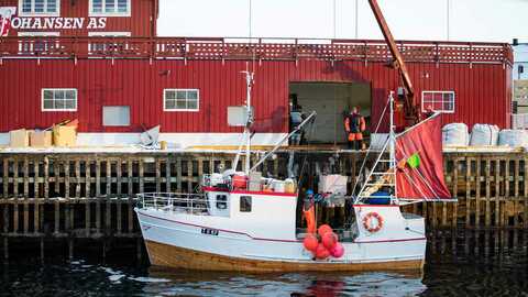 Illustrasjonsfoto: Vegard Oen Hatten / Fiskeridirektoratet