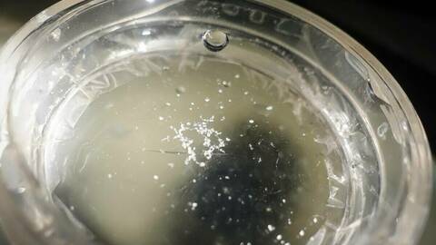 I studien SalmoDetect fant forskerne mikroplast i villaks, oppdrettslaks og fjellørret. Her er mikroplast som HI viste frem under Forskningstorget i 2018. Foto: Torhild Dahl / Havforskningsinstituttet