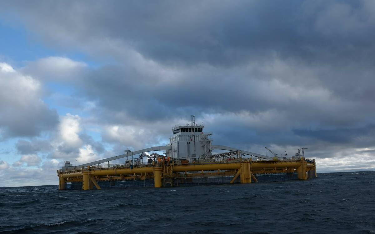 Illustrasjonsfoto: NFD