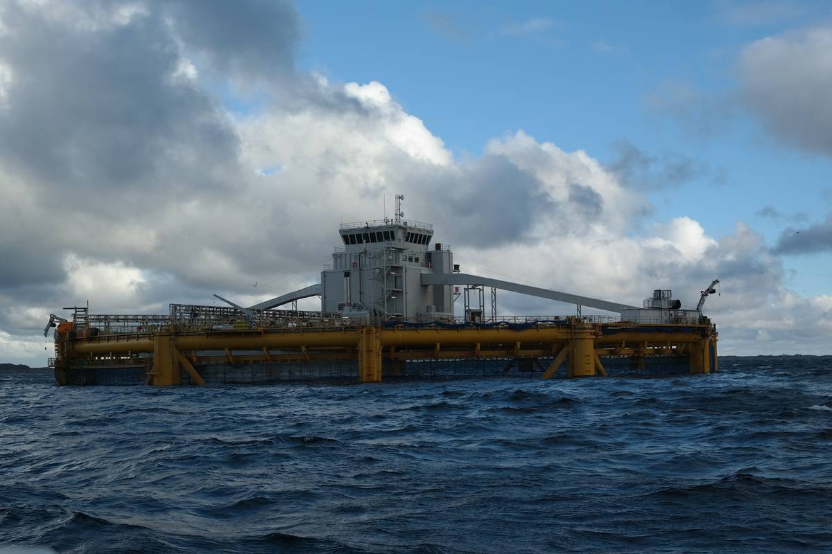 Illustrasjonsfoto: NFD