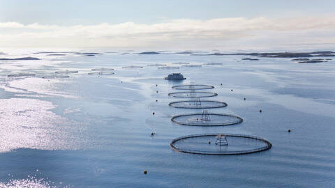 Illustrasjonsfoto: Erik Roed / Fiskeridirektoratet
