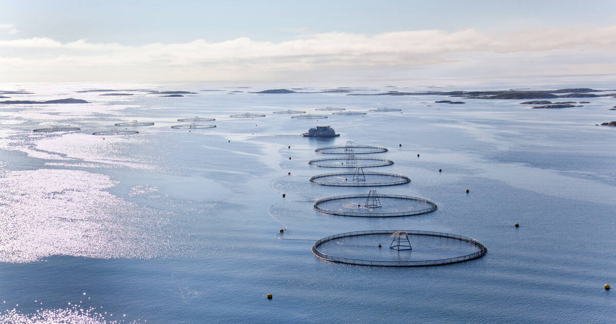 Illustrasjonsfoto: Erik Roed / Fiskeridirektoratet