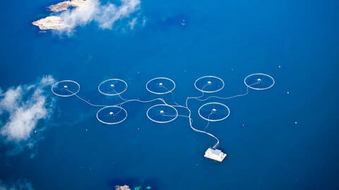 Illustrasjonsfoto: Erik Roed / Fiskeridirektoratet