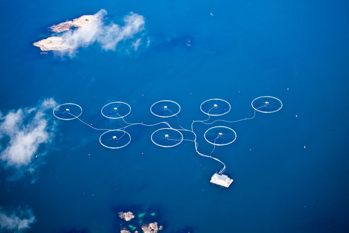 Illustrasjonsfoto: Erik Roed / Fiskeridirektoratet