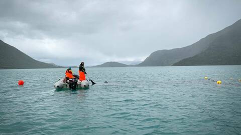 Havforskningsinstituttet utfører feltarbeid i Hardangerfjorden, her fra Rosendal. Illustrasjonsfoto: Stine Hommedal / HI