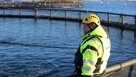 Fiskeriminister Harald T. Nesvik. Arkivfoto: Øyvinn Myge