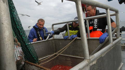 Fiskeri- og sjømatminister Harald T. Nesvik på rekefiske med Lennart Danielsen. Foto: Nærings- og fiskeridepartementet