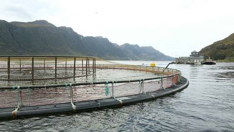 Fiskeoppdrettsanlegg. Foto: Nærings- og fiskeridepartementet