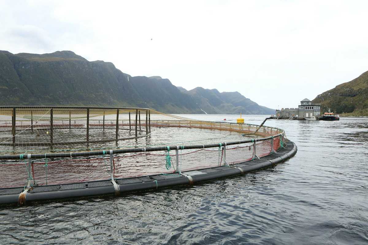 Fiskeoppdrettsanlegg. Foto: Nærings- og fiskeridepartementet