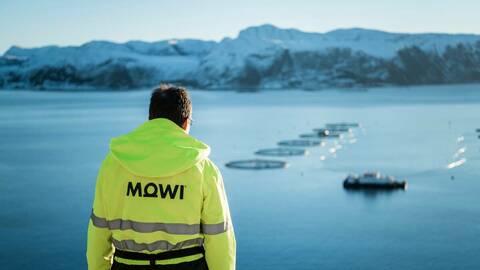 Illustrasjonsfoto: Bildet viser et av de norske sjøanleggene til Mowi. Foto: Mowi ASA