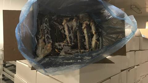 Arkivbilde fra da det tirsdag 19.11.2019 ble tatt beslag i flere paller med kongekrabbe. Foto: Politiet