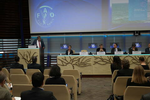 Fiskeri og sjømatminister Harald T. Nesvik  på FN-konferansen i Roma om bærekraftige fiskeri. Foto: NFD