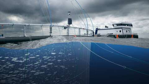 Illustrasjon: ScaleAQ