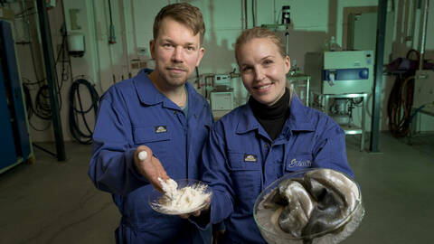 Markedet for kollagen kan bli enda større, nå som Kjersti Lian, Runar Gjerp Solstad og kollegaene deres har klart å hente ut dette proteinet fra en rekke nye arter. Foto: Lars-Åke Andersen / Nofima