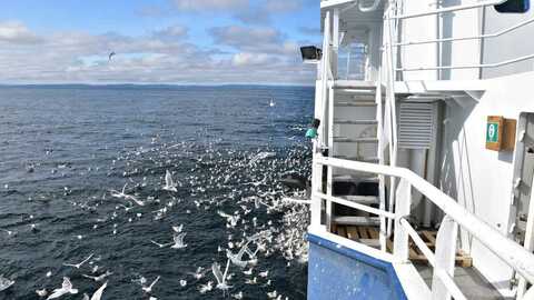Foto: Odd Kristian Dahle / Fiskebåt