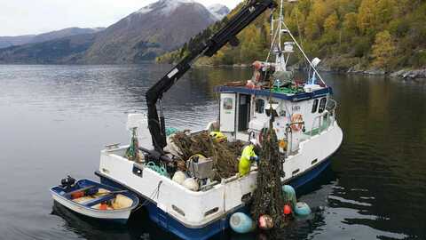 Blåskjellanleggene har stått i sjøen uten eiere og tilsyn i flere år – og utgjør skjulte farer for både skipstrafikk og miljø. Kystverket leder nå et opprenskingstokt på Vestlandet for å fjerne mange av disse. Foto: eSEA Marine