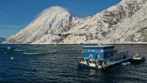 Fiskeridirektoratet er på plass ved lokaliteten «Davatluft» ved Stjernøya i Alta kommune. Foto: Narve Leonhardsen / Fiskeridirektoratet