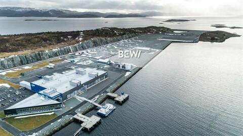 Den nye emballasjefabrikken skal plasseres på nabotomten til Lerøy Midt sin fabrikk på Jøsnøya på Hitra. Foto: BEWI