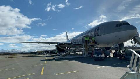 Det første sjømatflyet lastes og klargjøres for avgang fra Bodø lufthavn. Foto: Bodø Lufthavnutvikling