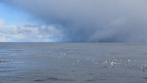 Foto: Odd Kristian Dahle / Fiskebåt