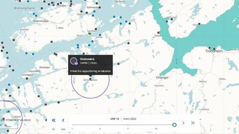 Fiskesykdommen infeksiøs lakseanemi er påvist ved landlokaliteten Vestseøra i Heim kommune. Kart: BarentsWatch