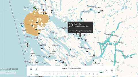 Fiskesykdommen infeksiøs lakseanemi er påvist ved sjølokalitet Leirvika i Masfjorden kommune. Kart: BarentsWatch
