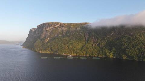 Et oppdrettsanlegg på Vestlandet i kveldssol. Illustrasjonsfoto: Terje Hatlem