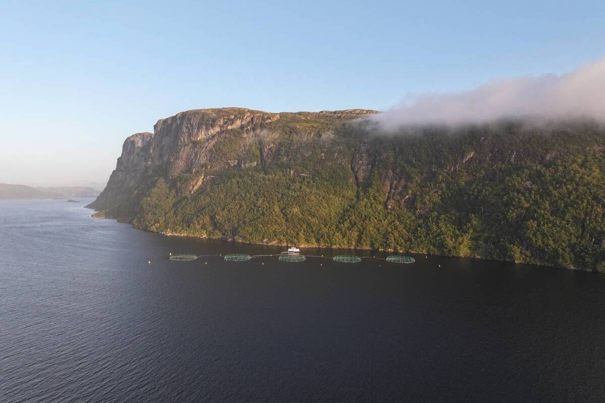 Et oppdrettsanlegg på Vestlandet i kveldssol. Illustrasjonsfoto: Terje Hatlem