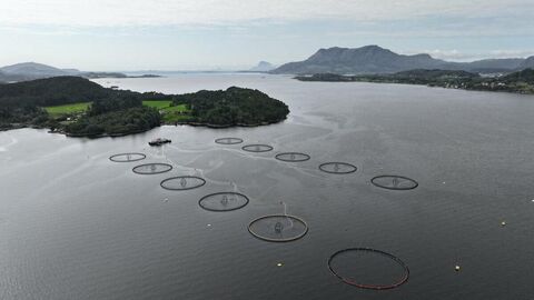 Illustrasjonsfoto: Terje Hatlem