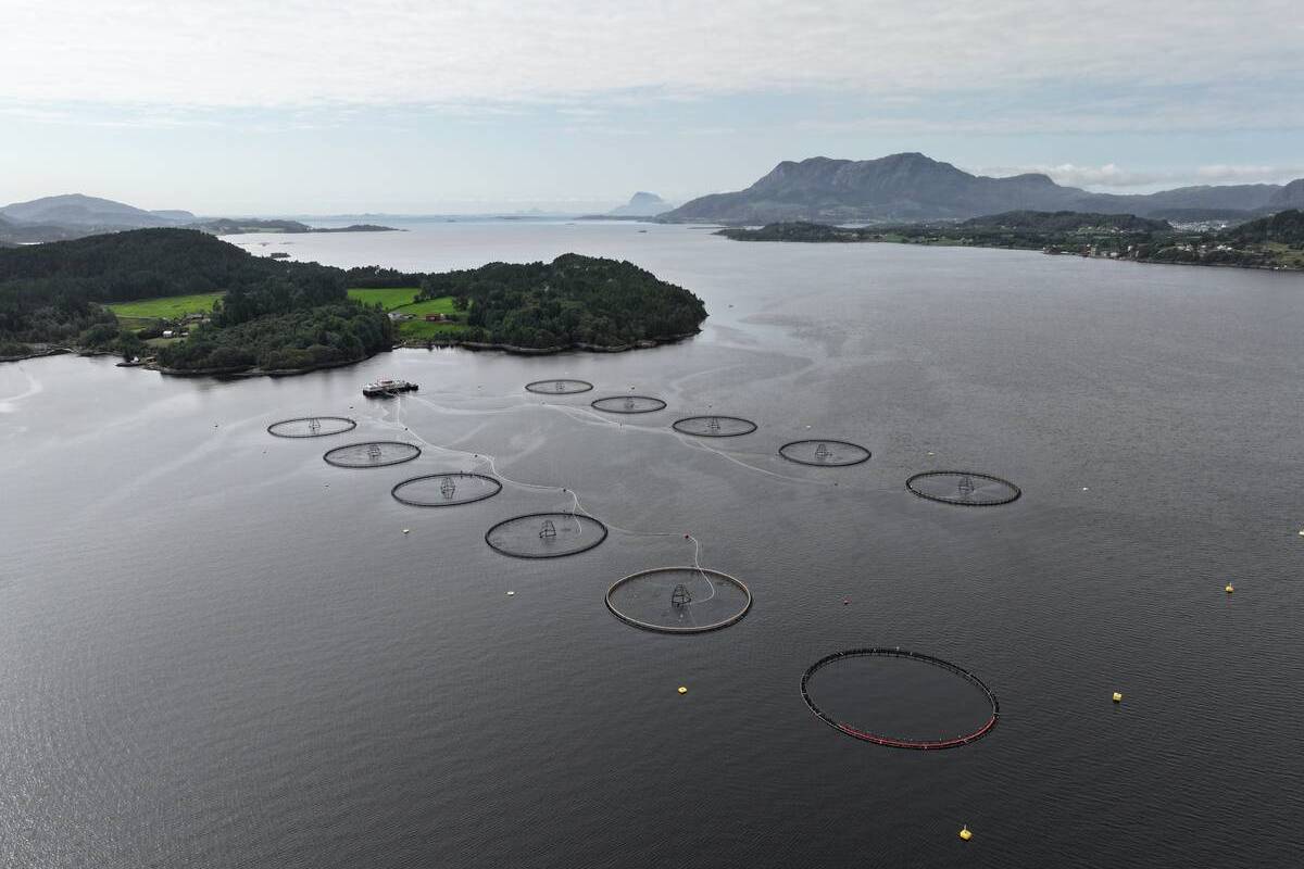 Illustrasjonsfoto: Terje Hatlem