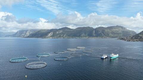 Illustrasjonsfoto: Terje Hatlem