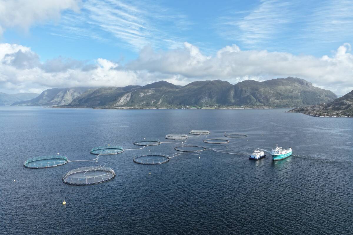 Illustrasjonsfoto: Terje Hatlem