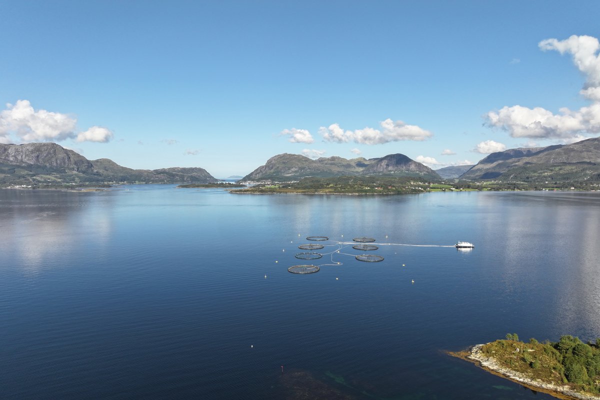 Illustrasjonsfoto: Terje Hatlem