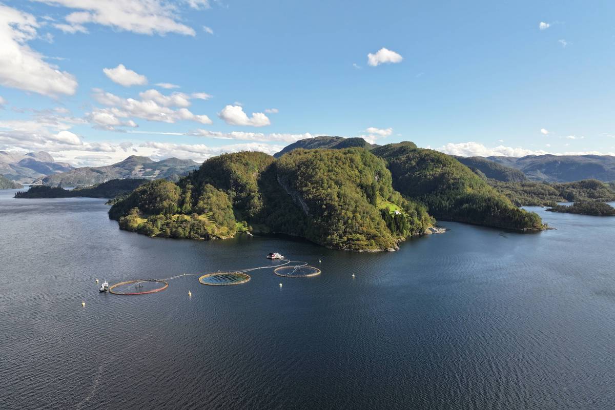 Illustrasjonsfoto: Terje Hatlem