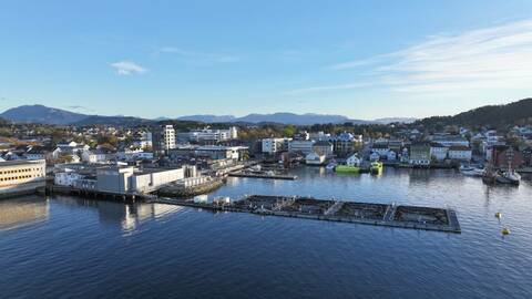 Et lakseslakteri i en av Vestlandets kystbyer. Illustrasjonsfoto: Terje Hatlem