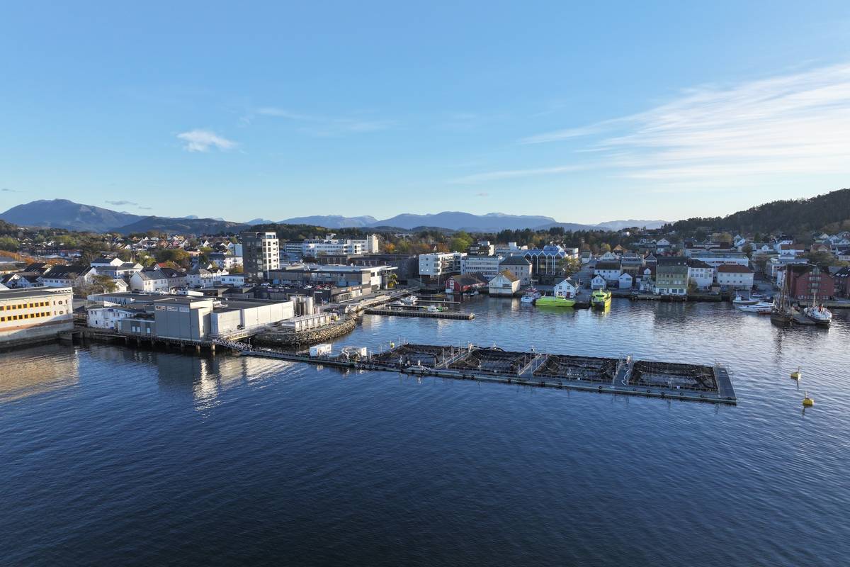 Et lakseslakteri i en av Vestlandets kystbyer. Illustrasjonsfoto: Terje Hatlem