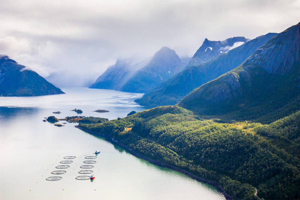Fotoet viser ett av anleggene til Nova Sea AS. Foto: Nova Sea