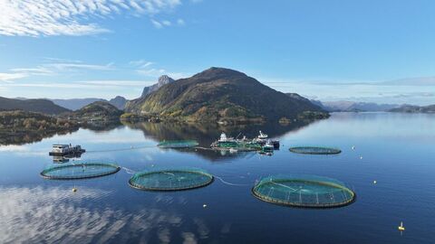 Illustrasjonsfoto: Terje Hatlem