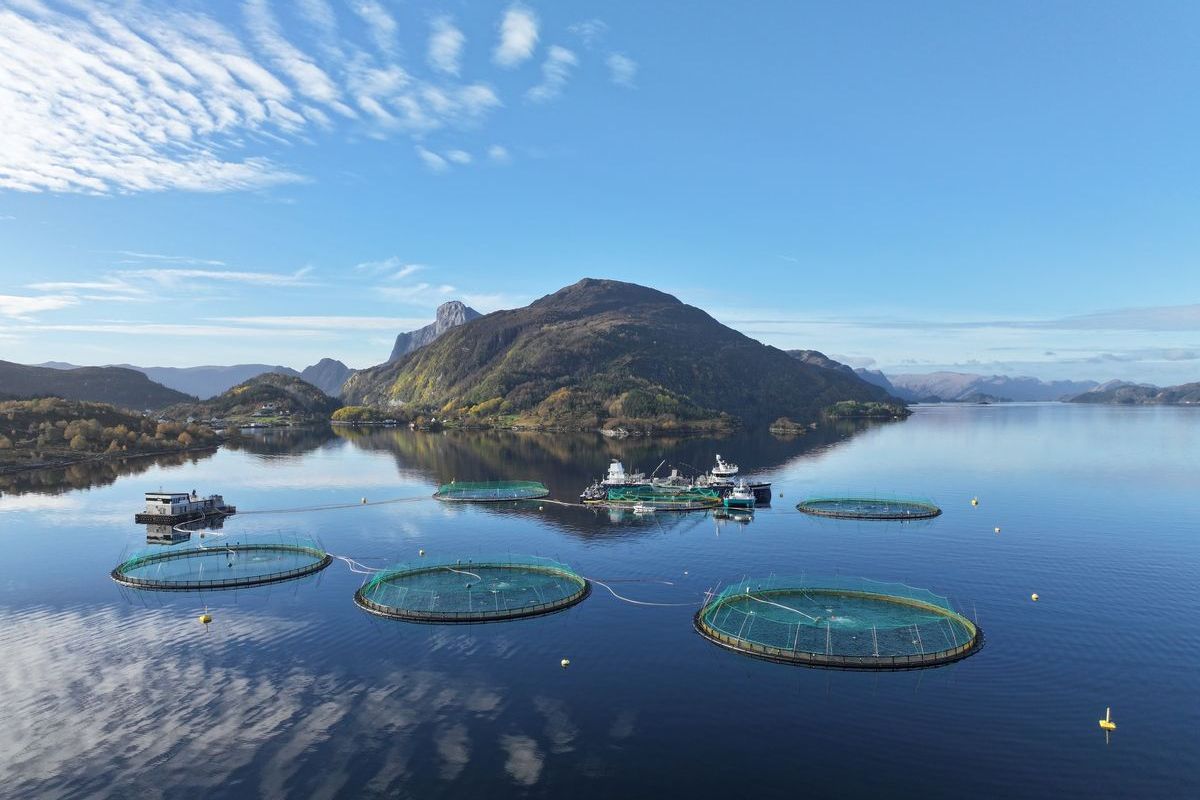 Illustrasjonsfoto: Terje Hatlem