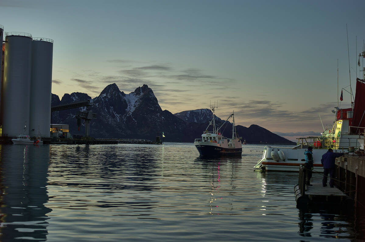 – For de fleste deler av sjømatnæringen var 2024 nok et greit år, slår Nofimas forskere fast i rapporten om sjømatnæringens ringvirkninger i 2024. Illustrasjonsfoto: Audun Iversen / Nofima